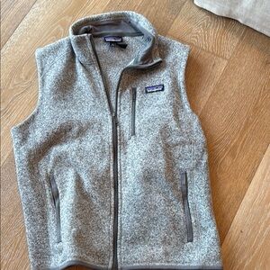 Patagonia Gray Men’s M Vest